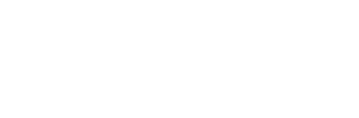 Partnership Logo  - White